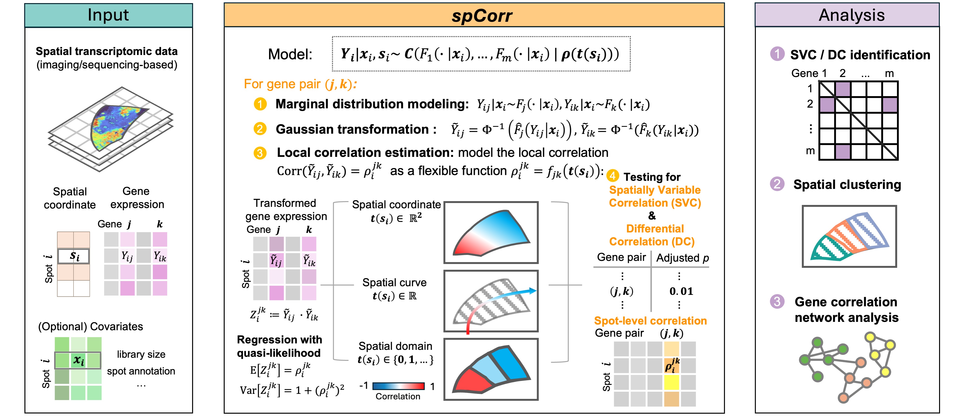 Workflow of spCorr